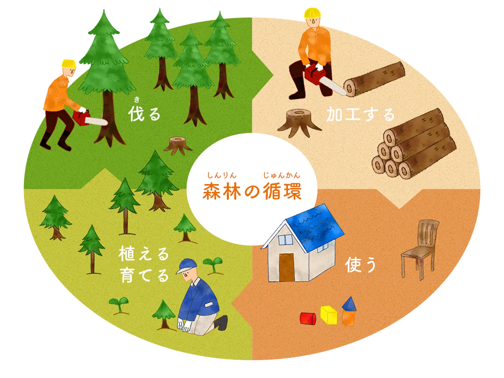 森の循環