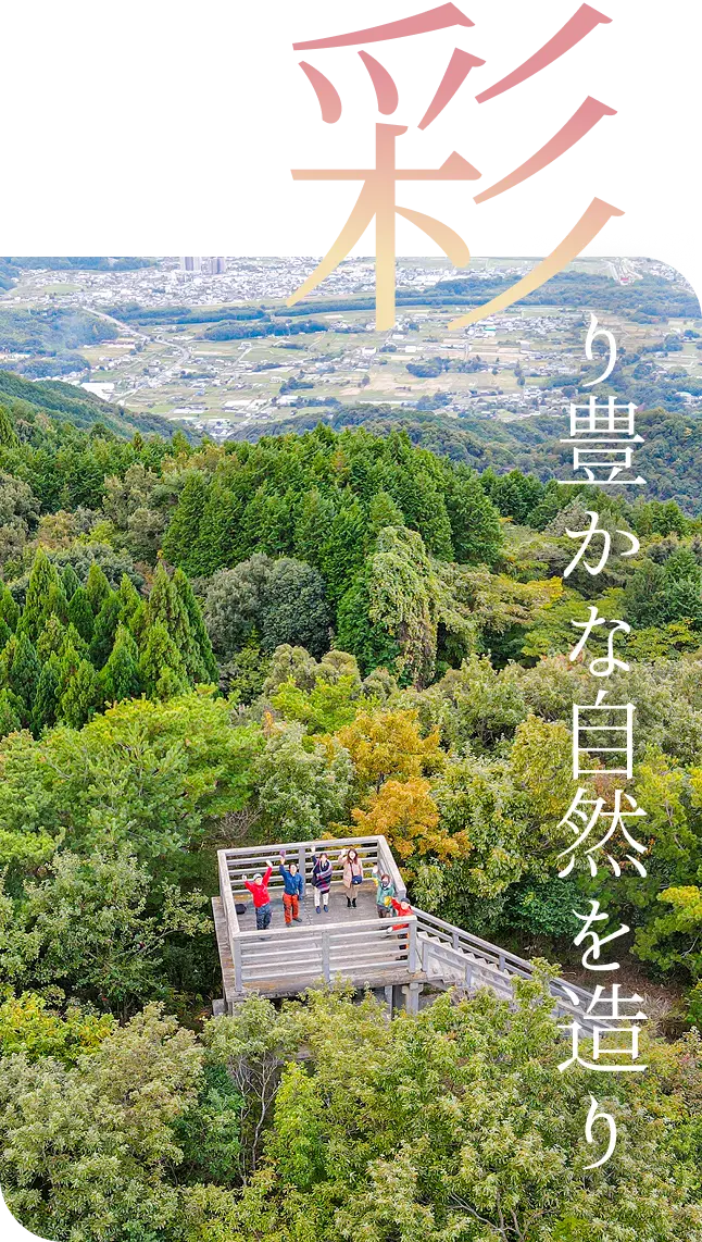 緑豊かな山と展望台